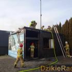 zdjęcie nr 8
