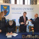 zdjęcie nr 7