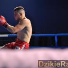 zdjęcie nr 110