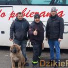 zdjęcie nr 9