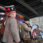 zdjęcie nr 52