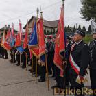 zdjęcie nr 14