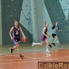 zdjęcie nr 87