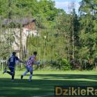 zdjęcie nr 12