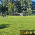 Fotka nr 4 z 41