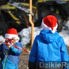 zdjęcie nr 19