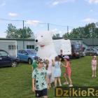 zdjęcie nr 39