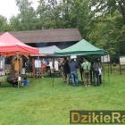 zdjęcie nr 99