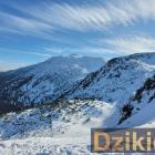 Fot. Grzegorz Fryc