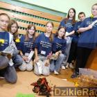 zdjęcie nr 24