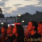 zdjęcie nr 37