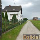 Fotka nr 1 z 4