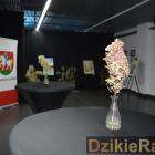 zdjęcie nr 14