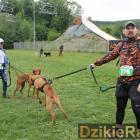 zdjęcie nr 29