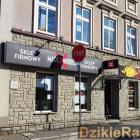 zdjęcie nr 7