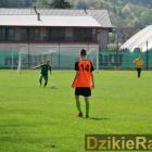 zdjęcie nr 42
