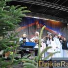 zdjęcie nr 161