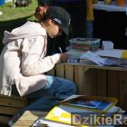 zdjęcie nr 14
