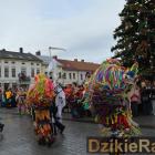 zdjęcie nr 308