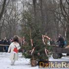 zdjęcie nr 105