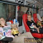 zdjęcie nr 10