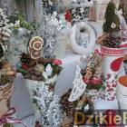 zdjęcie nr 27