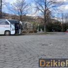 Fotka nr 1 z 3