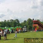 zdjęcie nr 83