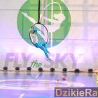 Fotka nr 3 z 178