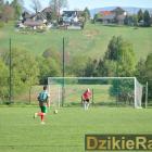 zdjęcie nr 14