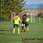 zdjęcie nr 42