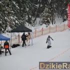 zdjęcie nr 180