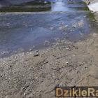 Fotka nr 2 z 6