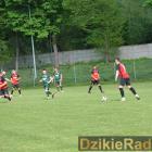 Fotka nr 3 z 223