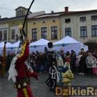zdjęcie nr 262