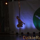 zdjęcie nr 380