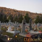zdjęcie nr 42