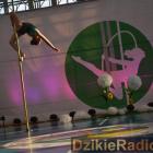 zdjęcie nr 136