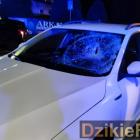 Fot.DzikieRadio