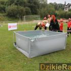 zdjęcie nr 155