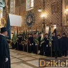 zdjęcie nr 104
