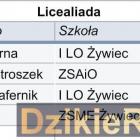Fot. Powiatowy Szkolny Związek Sportowy w Żywcu 