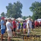zdjęcie nr 77