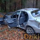Fotka nr 1 z 4