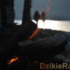 zdjęcie nr 210