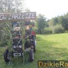 zdjęcie nr 184