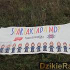 zdjęcie nr 80