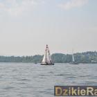 zdjęcie nr 88