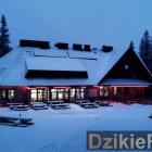 zdjęcie nr 10