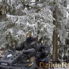 zdjęcie nr 14
